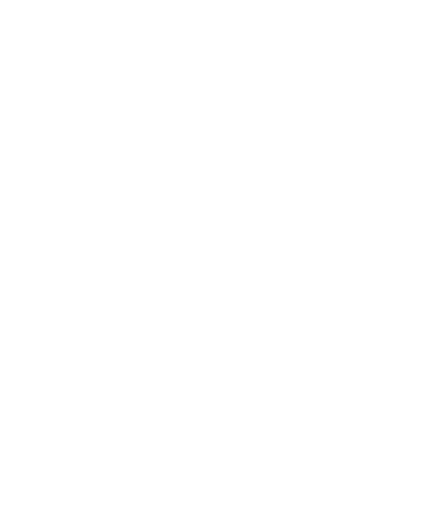 Expertise in stylized font